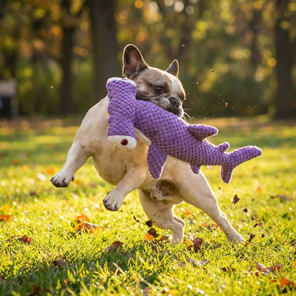 BARKO™ SharkToy – zabawka którą psy uwielbiają