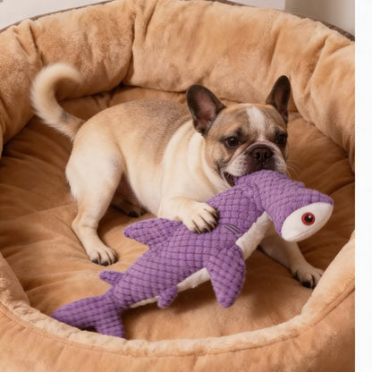 BARKO™ SharkToy – zabawka którą psy uwielbiają
